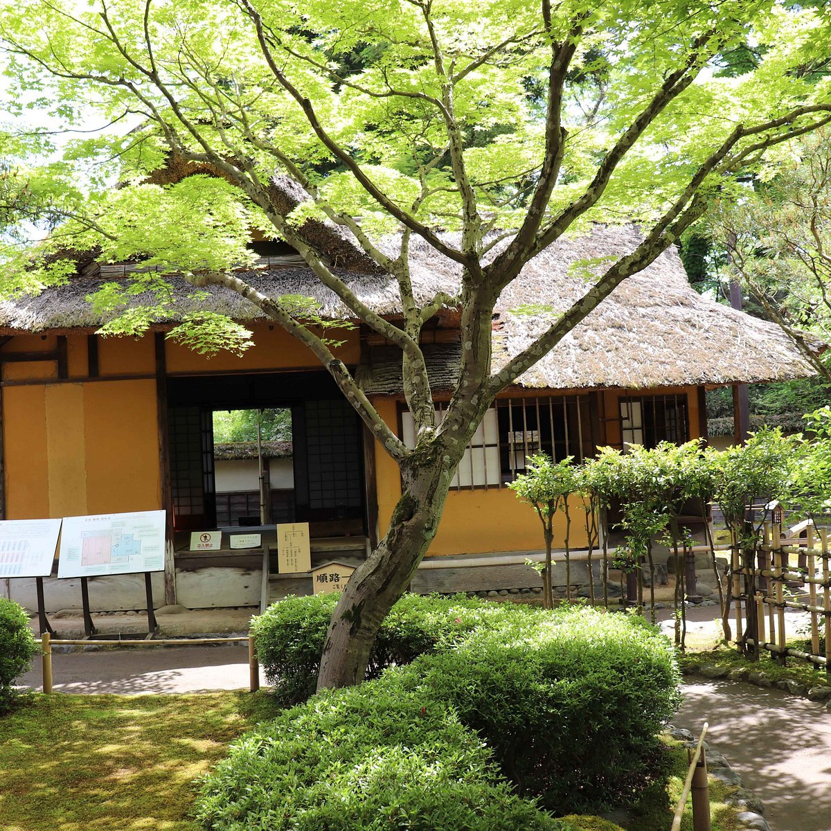 🍵 린카쿠 (차실) 이미지 8